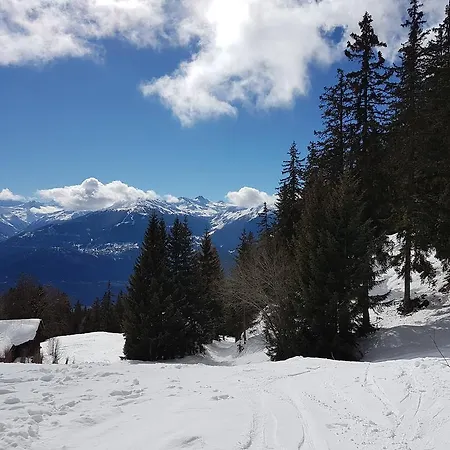 Luxus-appartment Charlotte In Les Eperviers Apartman Crans-Montana