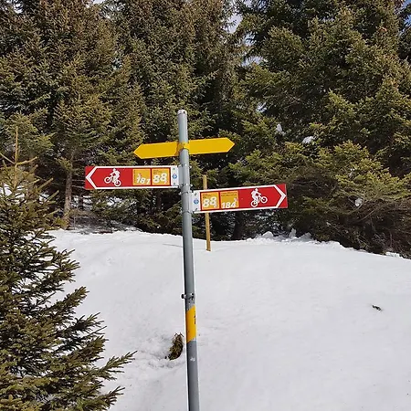 Apartman Luxus-appartment Charlotte In Les Eperviers Crans-Montana